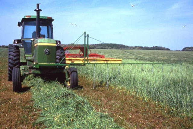 Tractor in field with flushing bars to scare wildlife. mowing, habitat, wildlife, rotational mowing, lawn, overwintering