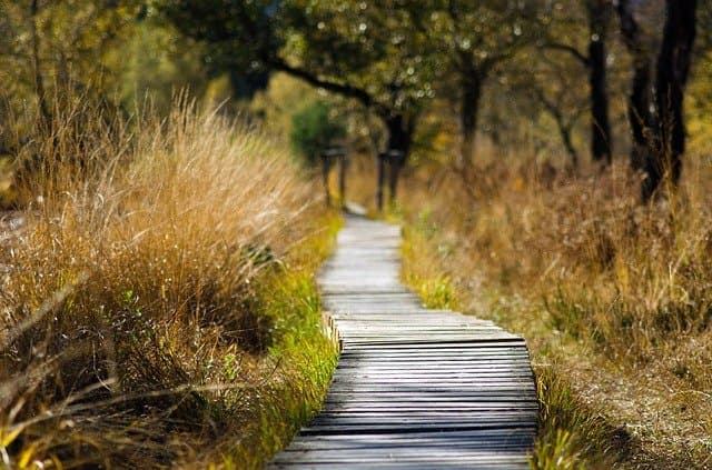 natural burial walkway