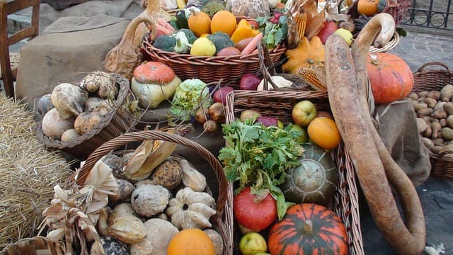 winter squash for crunchy savory squash seeds