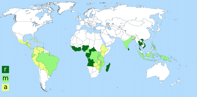 Map of coffee-growing regions. Dark green areas show where Robusta is grown; yellow indicates areas where Arabica is grown, and areas shaded light green grow both varieties. Creative Commons. Map of coffee-growing regions. Dark green areas show where Robusta is grown; yellow indicates areas where Arabica is grown, and areas shaded light green grow both varieties. Creative Commons.